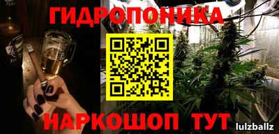 ГАЛЛЮЦИНОГЕННЫЕ ГРИБЫ Тверь
