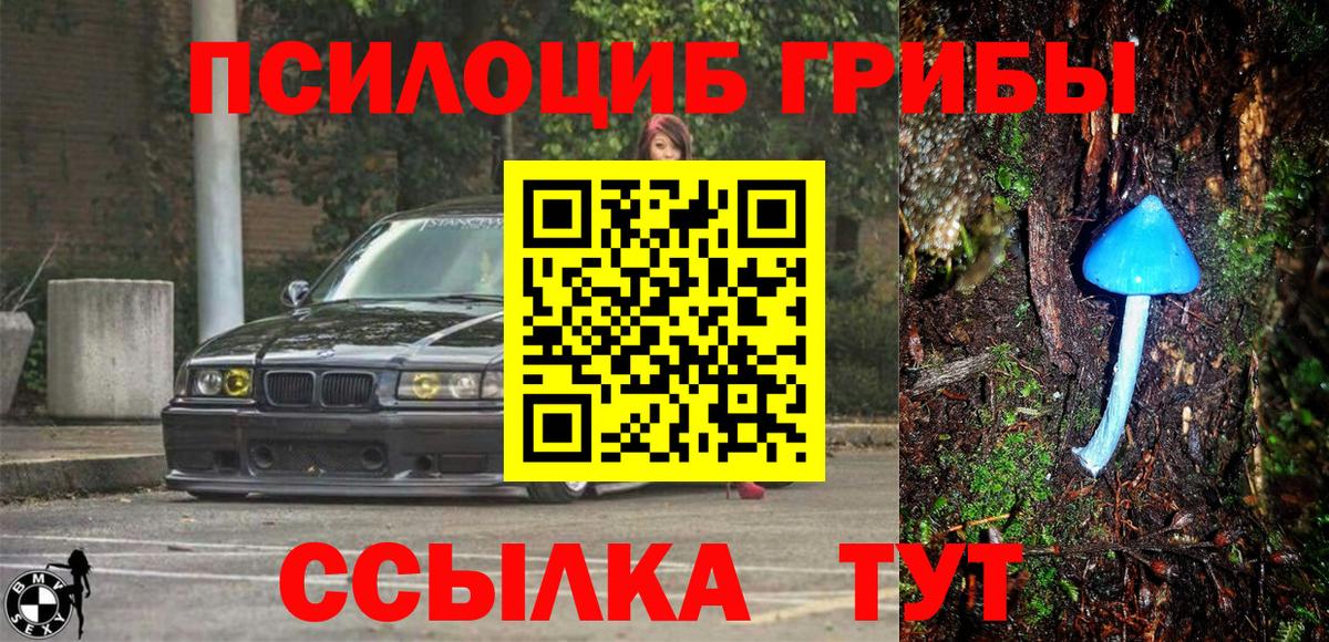 Новоалтайск  Галлюциногенные грибы MAGIC MUSHROOMS  Галлюциногенные грибы мухоморы  Вход с VPN 
